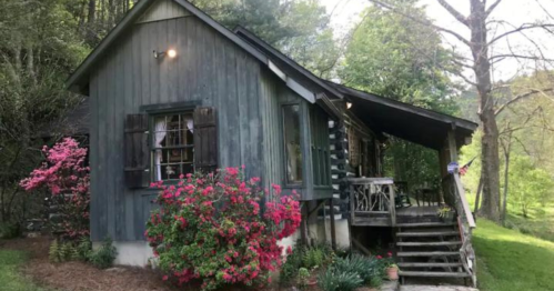 A charming rustic cabin surrounded by greenery and blooming flowers, featuring a porch and wooden shutters.