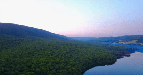 Aerial view of a lush green forest beside a calm lake, with rolling hills in the background under a pastel sky.