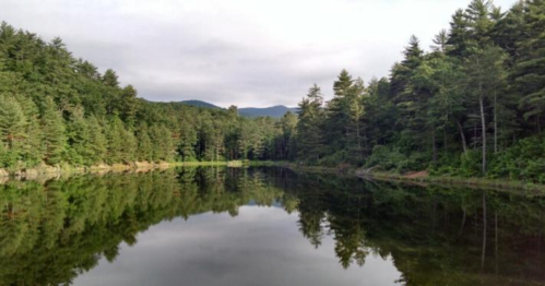 A serene lake surrounded by lush green trees and mountains, reflecting the landscape in calm waters.