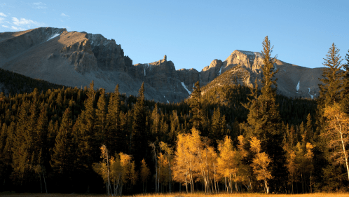 A sunrise peeks over Wheeler Peak in Nevada on a fall day. The trees surrounding the peak are covered in yellows and golds.