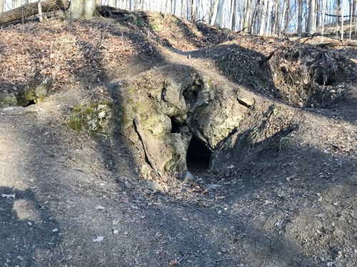 A rocky entrance to a cave surrounded by bare trees and fallen leaves on a forested hillside.