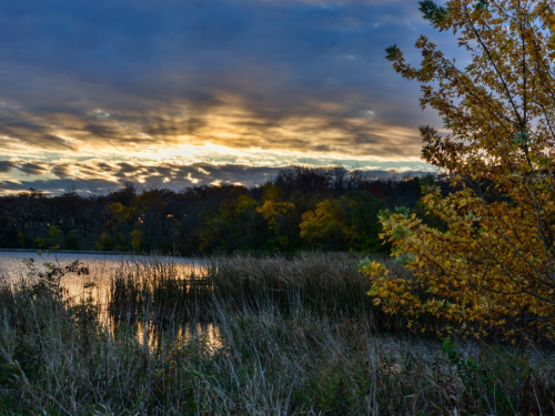 A serene lake at sunset, surrounded by autumn foliage and tall grasses under a cloudy sky.