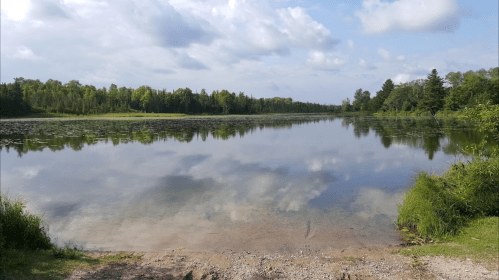 A serene lake surrounded by lush greenery, reflecting clouds and trees in calm waters under a blue sky.
