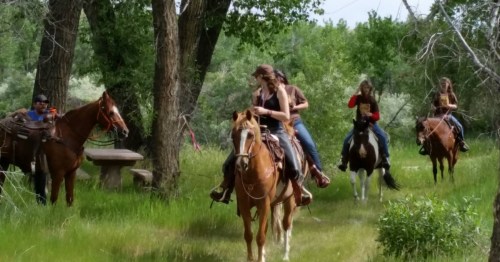 A group of people riding horses through a lush, green forested area on a sunny day.