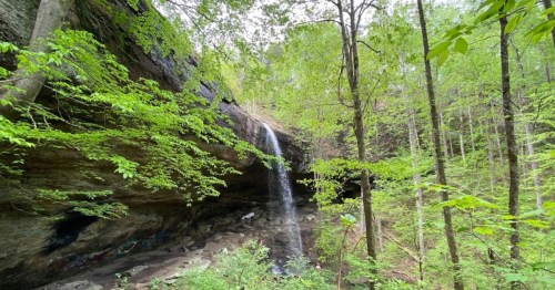 A serene waterfall cascading down a rocky cliff, surrounded by lush green trees in a tranquil forest setting.