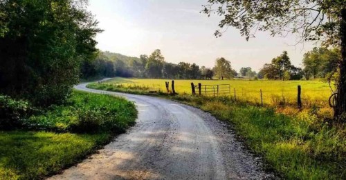 A winding gravel road surrounded by lush greenery and an open field under a clear sky.
