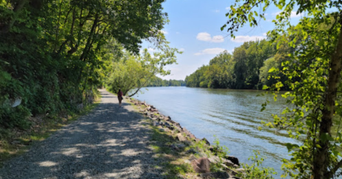 A peaceful riverside path lined with trees, with a person walking along the water under a clear blue sky.