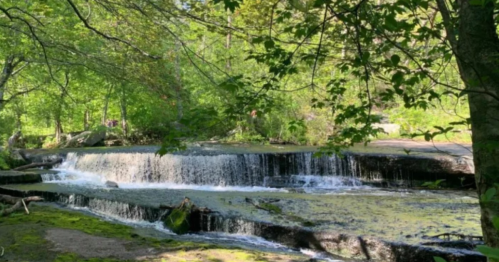 A serene waterfall cascades over rocks, surrounded by lush green trees and foliage in a peaceful natural setting.