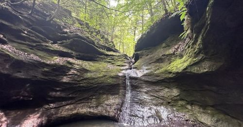 A serene canyon with moss-covered rocks and a small waterfall, surrounded by lush green trees.