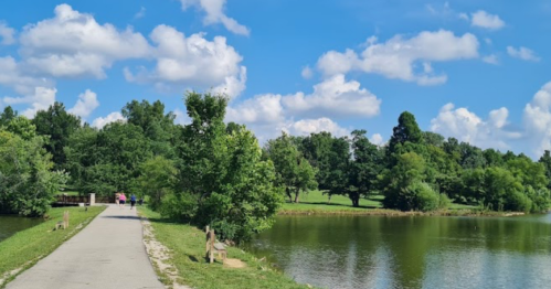 A serene park scene featuring a path by a calm lake, surrounded by lush greenery and a bright blue sky with clouds.