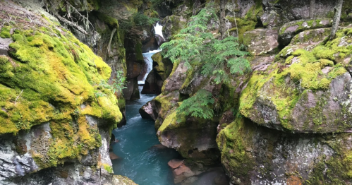 A serene river flows through moss-covered rocks in a lush, green canyon.
