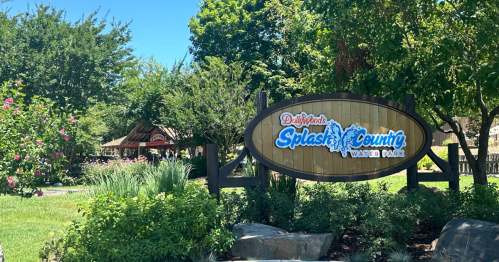 Sign for Dollywood's Splash Country Water Park surrounded by greenery and flowers on a sunny day.