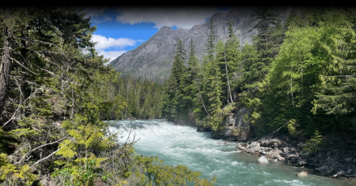 A rushing river flows through a lush green forest, surrounded by mountains under a partly cloudy sky.