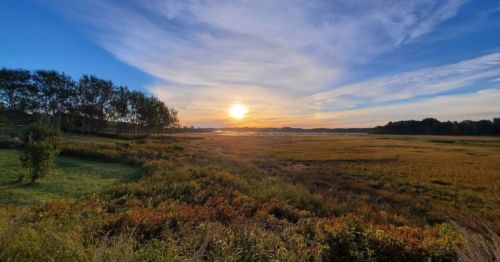 A serene landscape at sunset, featuring a golden field, trees, and a colorful sky with wispy clouds.