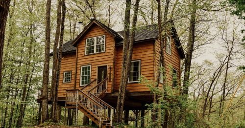 A wooden treehouse nestled among trees, featuring a staircase and large windows, surrounded by lush greenery.