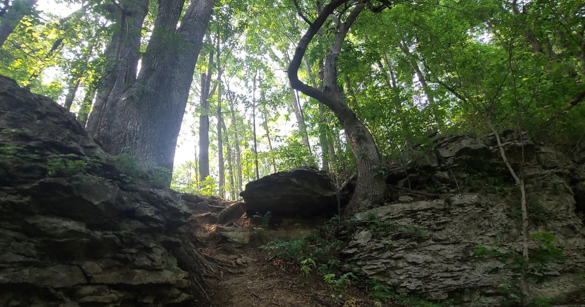 The Amazing Hiking Trail In Indiana You Should Explore ASAP