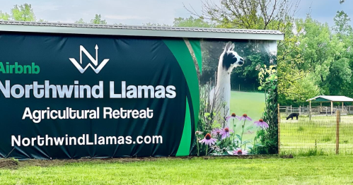 Sign for Northwind Llamas featuring a llama and flowers, promoting an agricultural retreat and Airbnb.