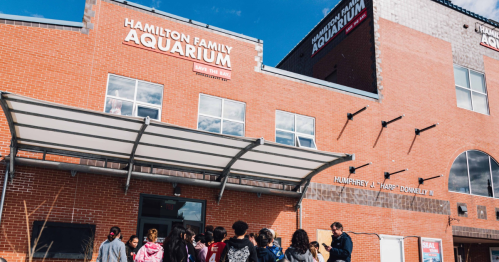 A group of people gathers outside the Hamilton Family Aquarium, with a clear blue sky above.