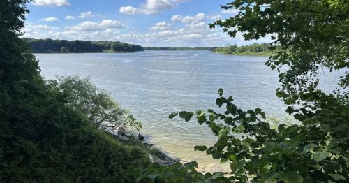 A serene river scene surrounded by lush greenery and blue skies with fluffy clouds.