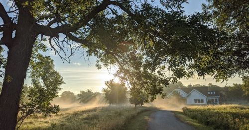 A serene morning scene with a misty path leading to a house, framed by trees and bathed in soft sunlight.