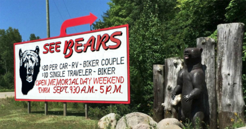 Sign advertising a bear viewing attraction, with pricing details and hours, next to a wooden bear sculpture.