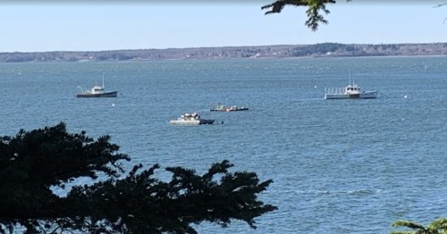 The trees frame a view of several boats at Roque Bluffs State Park, a little-known fishing spot in Maine.