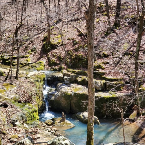 A serene forest scene featuring a small waterfall cascading over rocks, surrounded by bare trees and mossy ground.