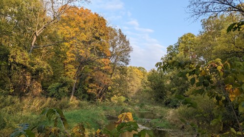 A serene landscape featuring a creek surrounded by trees with autumn foliage under a blue sky.