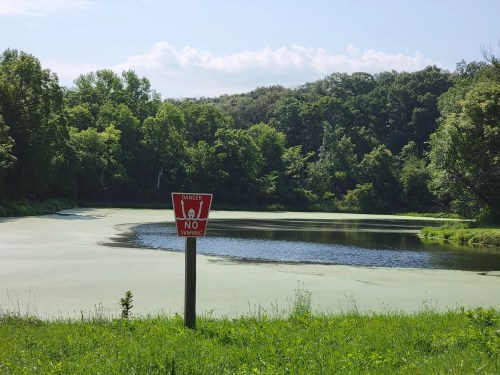 A pond surrounded by trees, featuring a warning sign that says "Danger: No Swimming." Green algae covers part of the water.