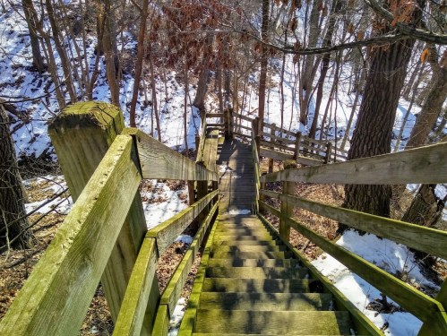 A wooden staircase descends through a snowy forest, surrounded by trees and sunlight filtering through the branches.