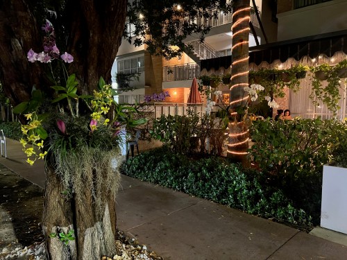 A tree adorned with colorful flowers and moss, with a softly lit background of a building and greenery at night.