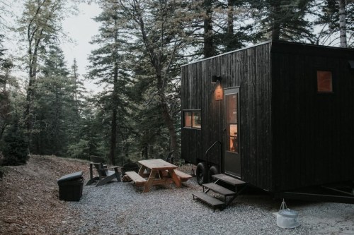 A small black cabin surrounded by trees, with a picnic table and chairs outside on a gravel path.