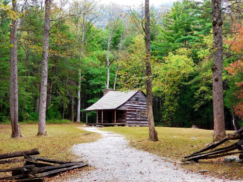 A rustic log cabin surrounded by trees and a gravel path in a serene forest setting.