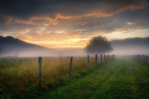 A misty landscape at sunrise, featuring a grassy path, wooden fence posts, and mountains in the background.