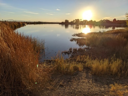 A serene sunset over a calm lake, surrounded by tall grasses and reflecting warm golden light.