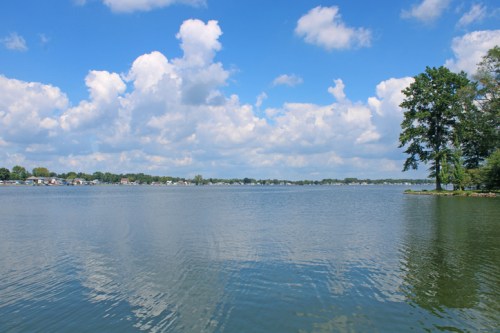 A serene lake scene with calm water, fluffy clouds, and trees lining the shore under a bright blue sky.