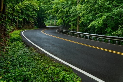 A winding road through lush green trees, with a smooth asphalt surface and guardrails along the side.