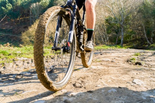 A close-up of a mountain bike tire rolling through muddy terrain on a sunny day.