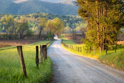 A winding gravel road surrounded by lush greenery and trees, leading into a scenic mountainous landscape.