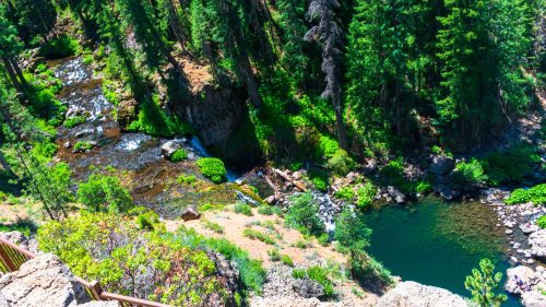 Aerial view of a lush green forest with a winding river and rocky banks under bright sunlight.