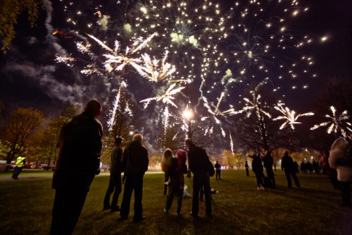 A crowd watches a vibrant fireworks display lighting up the night sky over a park.