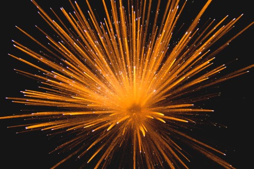 A burst of golden fireworks radiating outward against a dark background, creating a vibrant display of light and sparks.