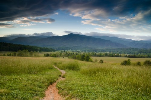 A winding path leads through a grassy field, with mountains and a cloudy sky in the background.