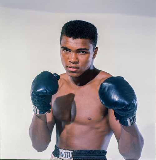 A young boxer in gloves poses confidently, showcasing a strong stance against a plain background.