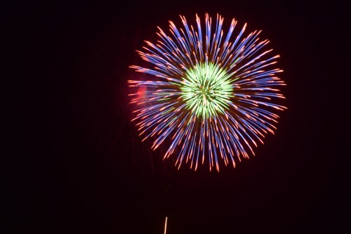 A vibrant firework explodes in the night sky, displaying bright red, blue, and green colors in a starburst pattern.