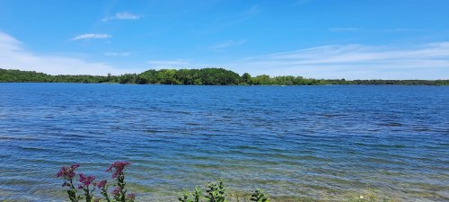 A serene lake with clear blue water, surrounded by lush green trees and a bright blue sky. Wildflowers in the foreground.