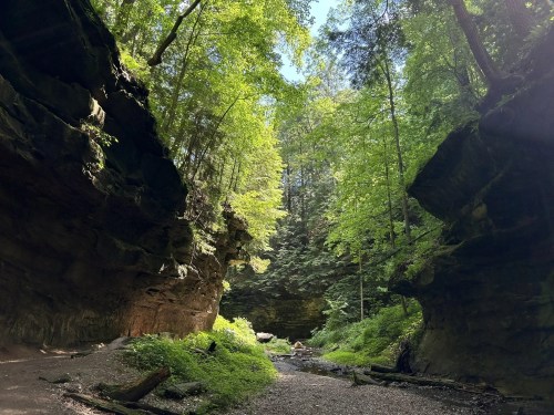 A serene canyon with towering rock walls, lush green trees, and a gravel path leading through the natural landscape.