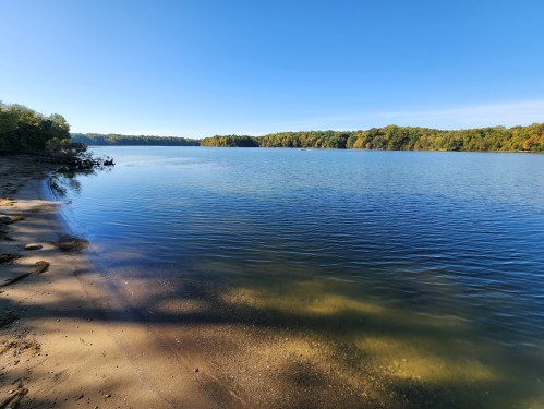 A serene lake surrounded by trees under a clear blue sky, with a sandy shore in the foreground.