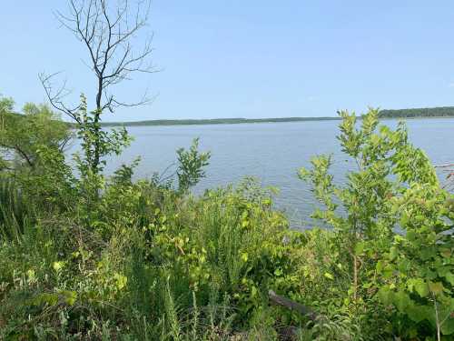 A serene lake view surrounded by lush greenery and trees under a clear blue sky.