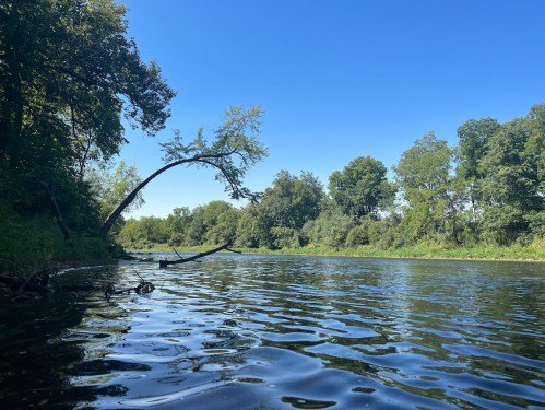 A serene river scene with calm water, lush green trees, and a clear blue sky.